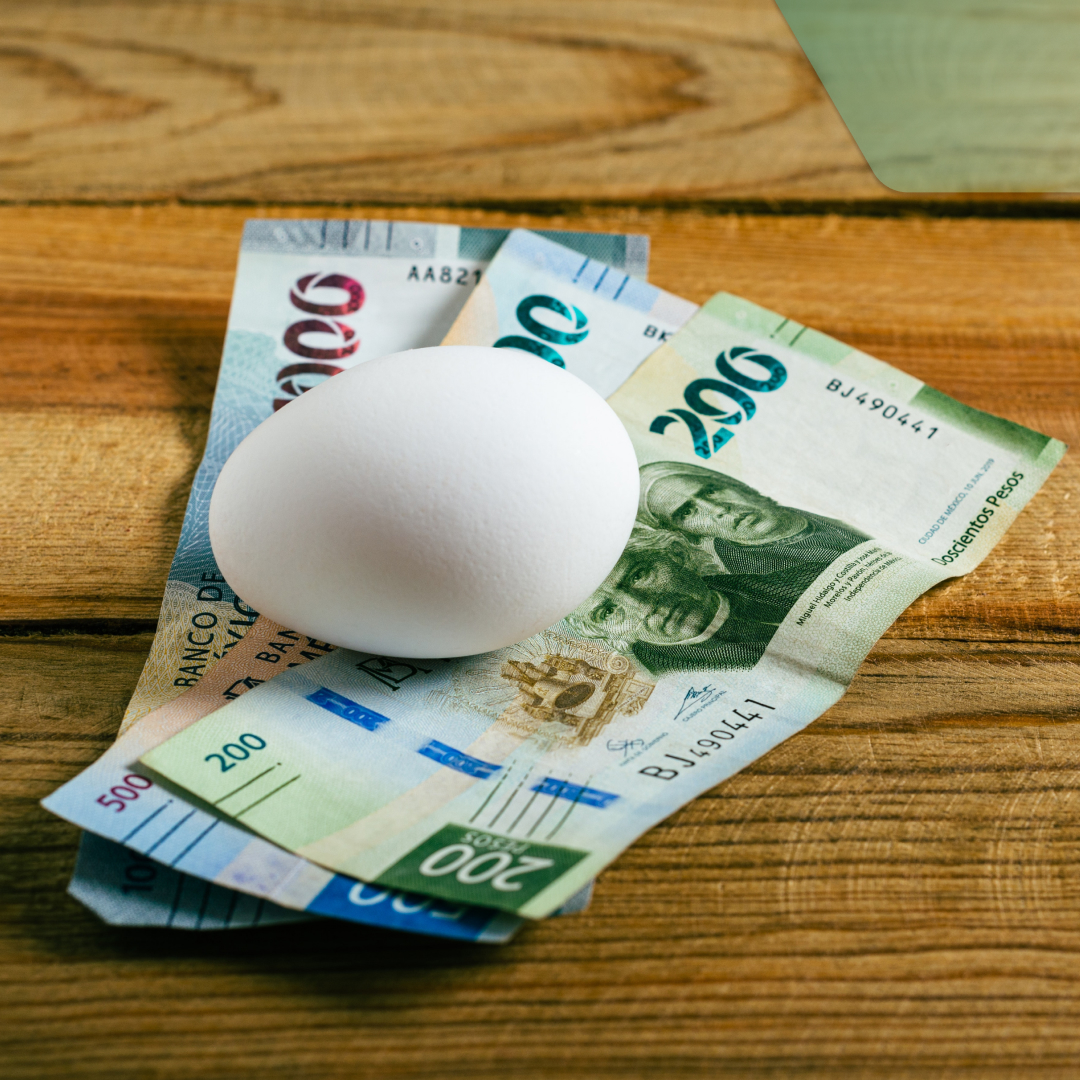 el precio del huevo se eleva
