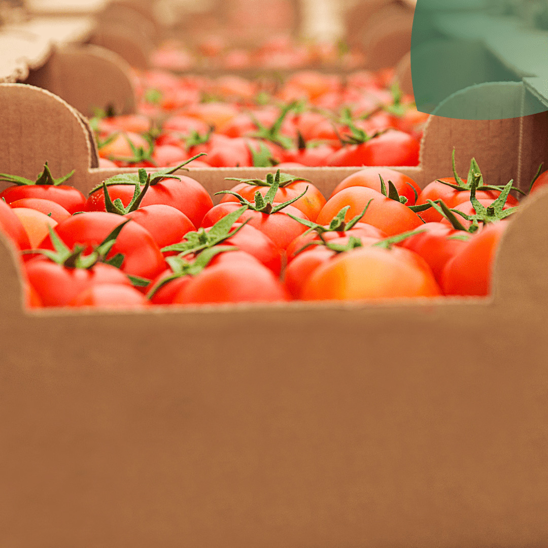 2023 se perfila como el año récord en exportación de agroalimentos