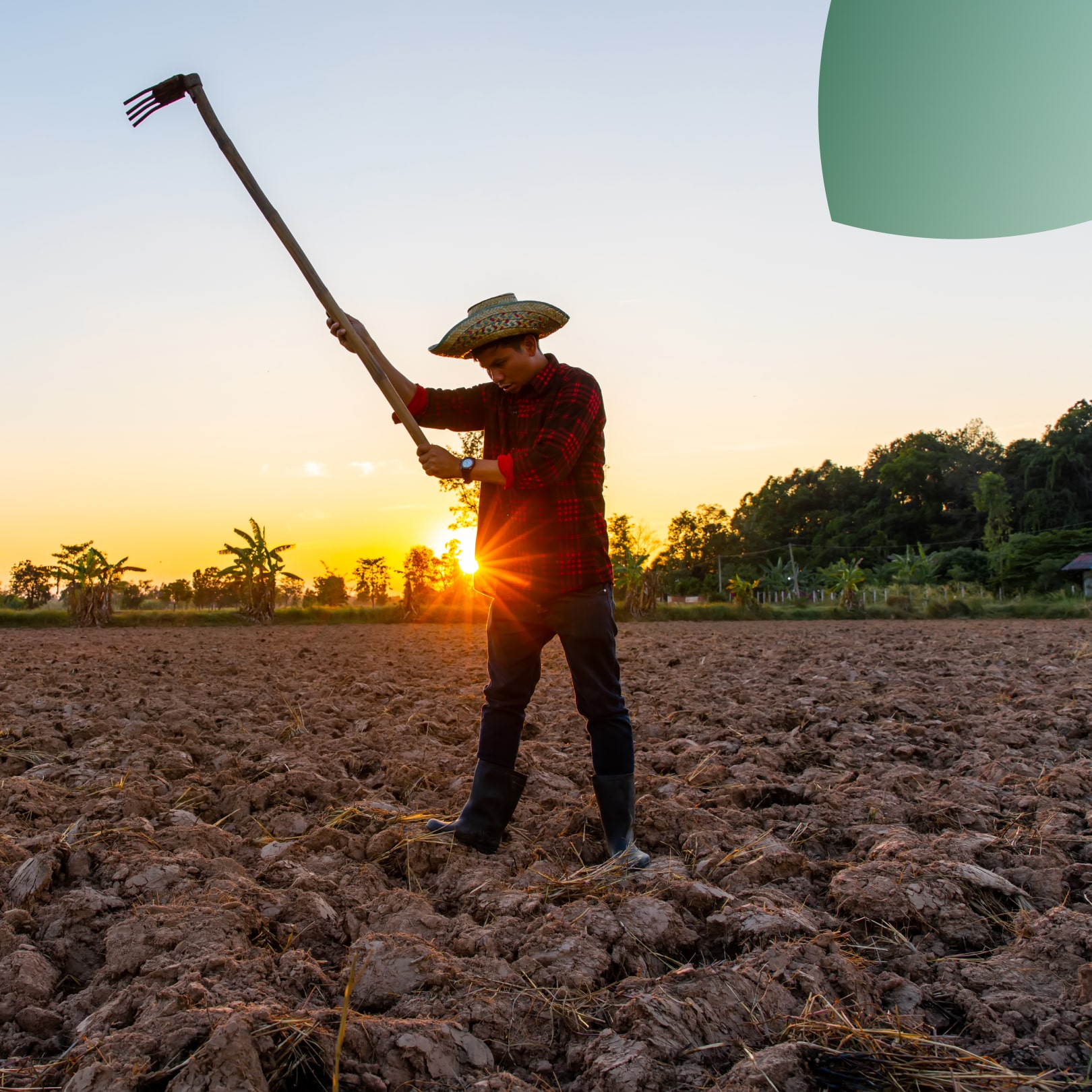 Afectaciones comerciales debido al cambio climático