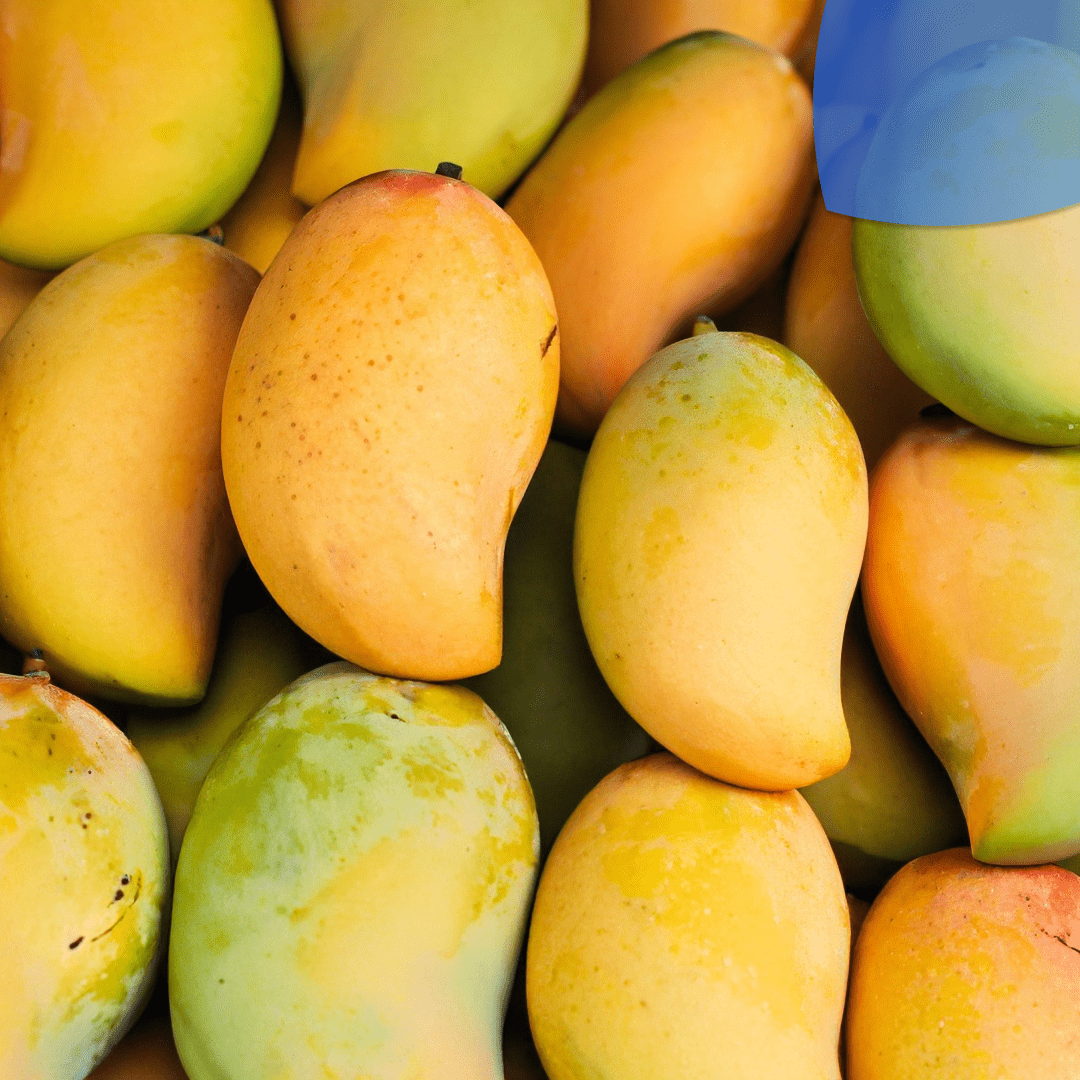 Aguacate y mangos enfrentaron problemas sanitarios