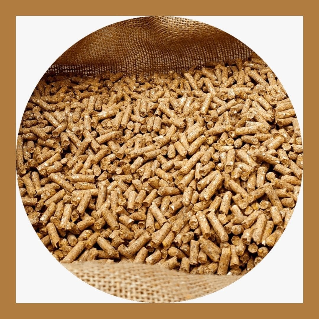 Alza de precios y menor disponibilidad de materias primas y alimento balanceado para el sector Agropecuario