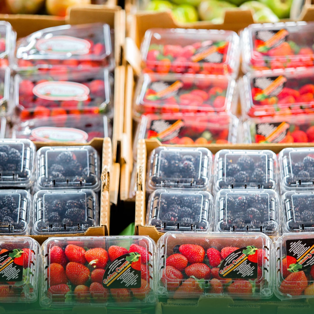 Ante aranceles, productores deben buscar alternativas