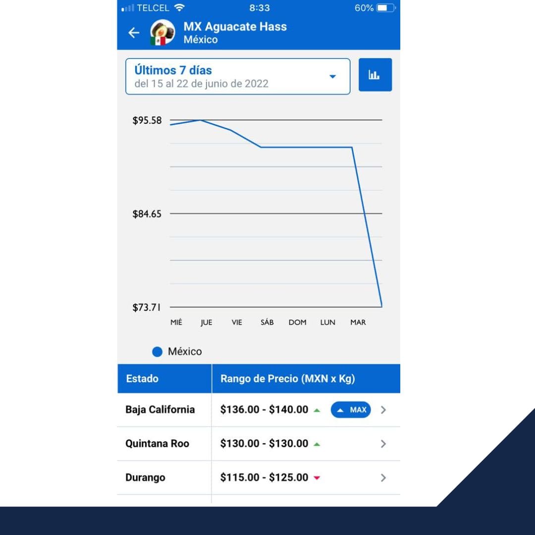 CEPAL-FAO: Crecimiento en plataformas de comercio electrónico agrícola