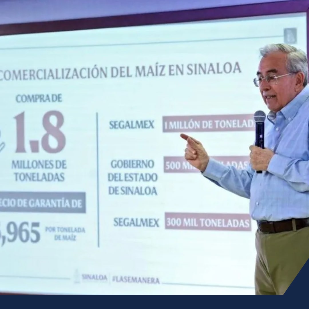 Definen nuevo esquema de comercialización para el maíz de la cosecha 2023