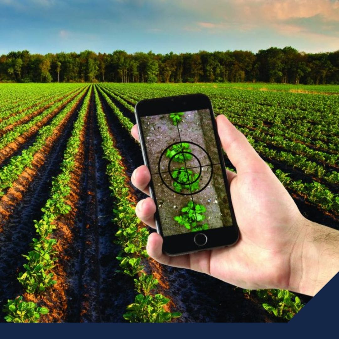 ¿Cuál es la importancia de la tecnología en el futuro del agro?