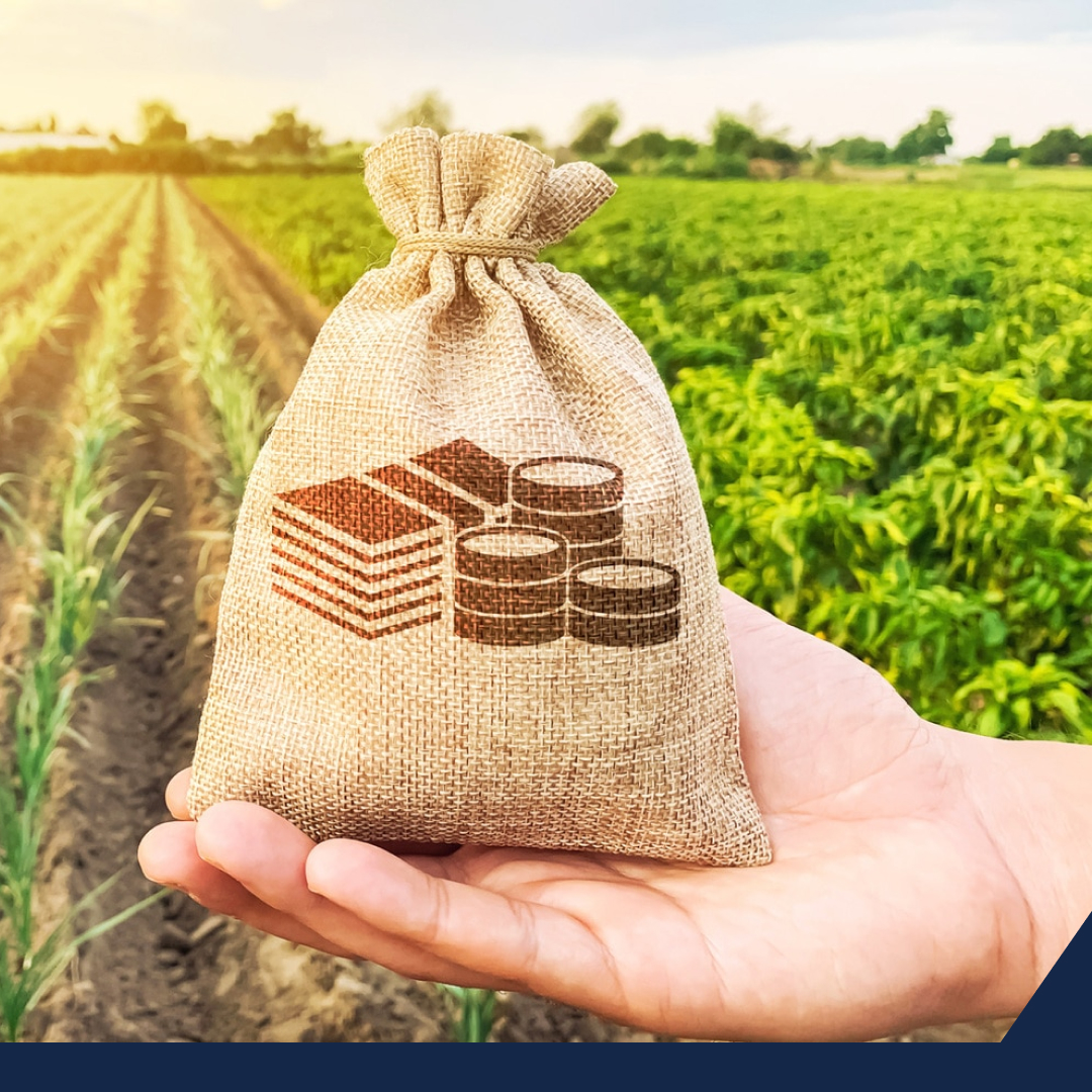 Desaparece Financiera Rural ¿Qué impacto tendrá para el campo mexicano? 