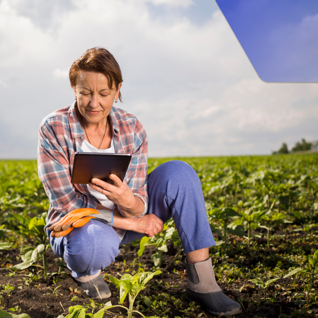 El Comercio Electrónico Agrícola Ve Un Crecimiento Prometedor En 2023