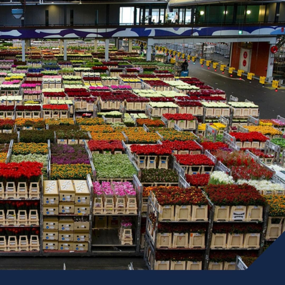 El Costo de Importar Alimentos