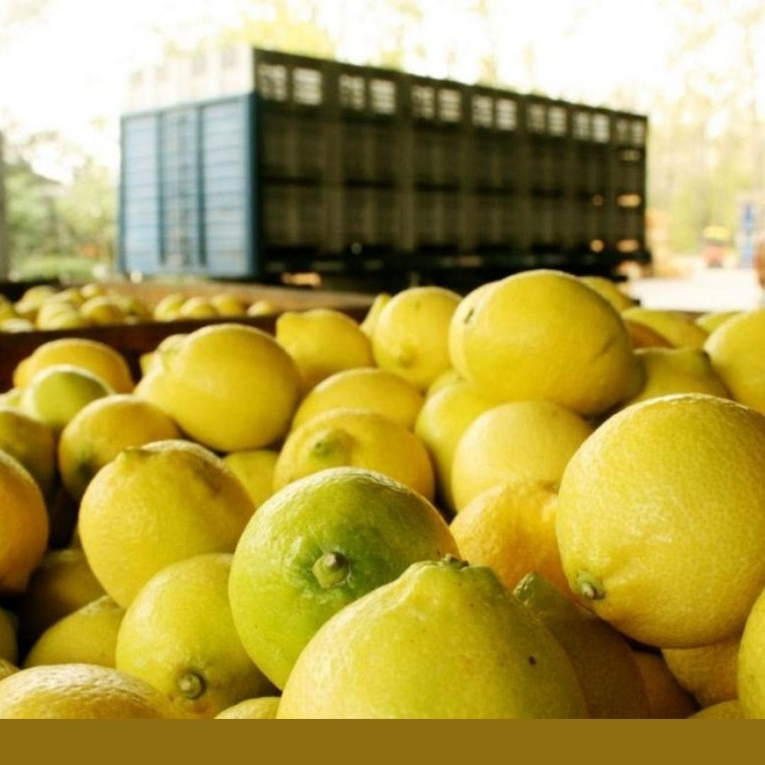 El crimen organizado y la extorsión encarecen precios de productos agroalimentarios