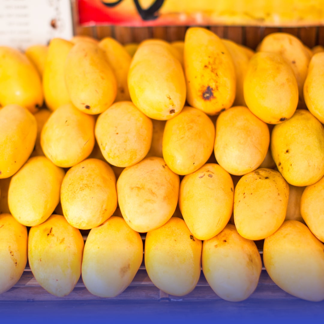 El mango, rey indiscutible de las frutas tropicales