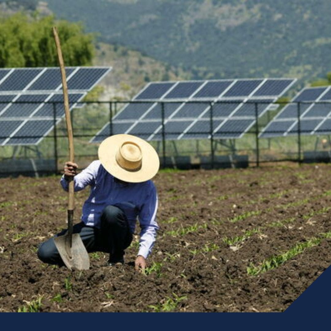 El Paradigma del Agro, sostenibilidad o productividad