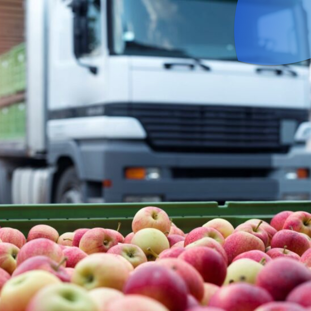 El transporte de alimentos y su importancia al comercializar