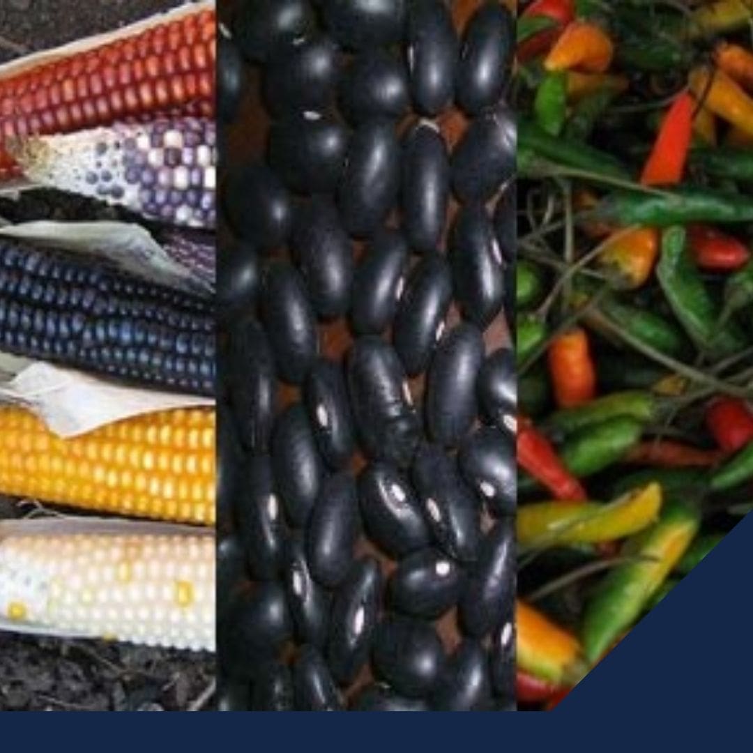 Exentar aranceles parece no ser suficiente para disminuir precios de la canasta básica