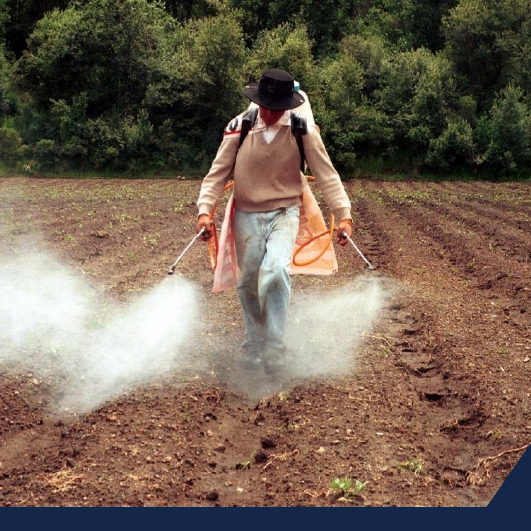 Publican reglas de Operación del programa Fertilizantes para el ejercicio fiscal 2023