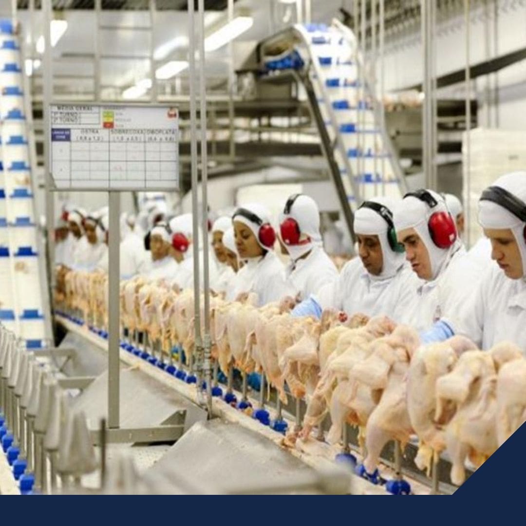 Hay que frenar importación a México del pollo de Brasil y EE.UU.