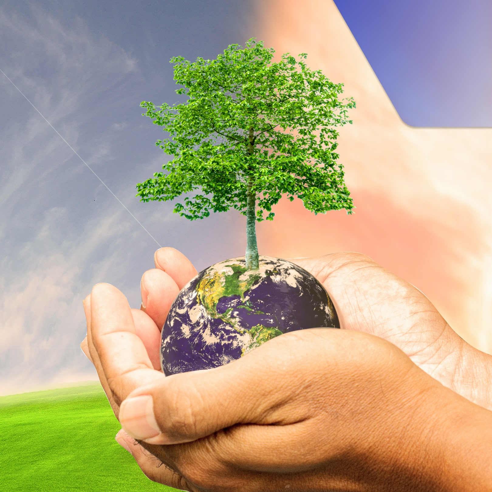 La inteligencia artificial, poderosa herramienta para combatir el cambio climático