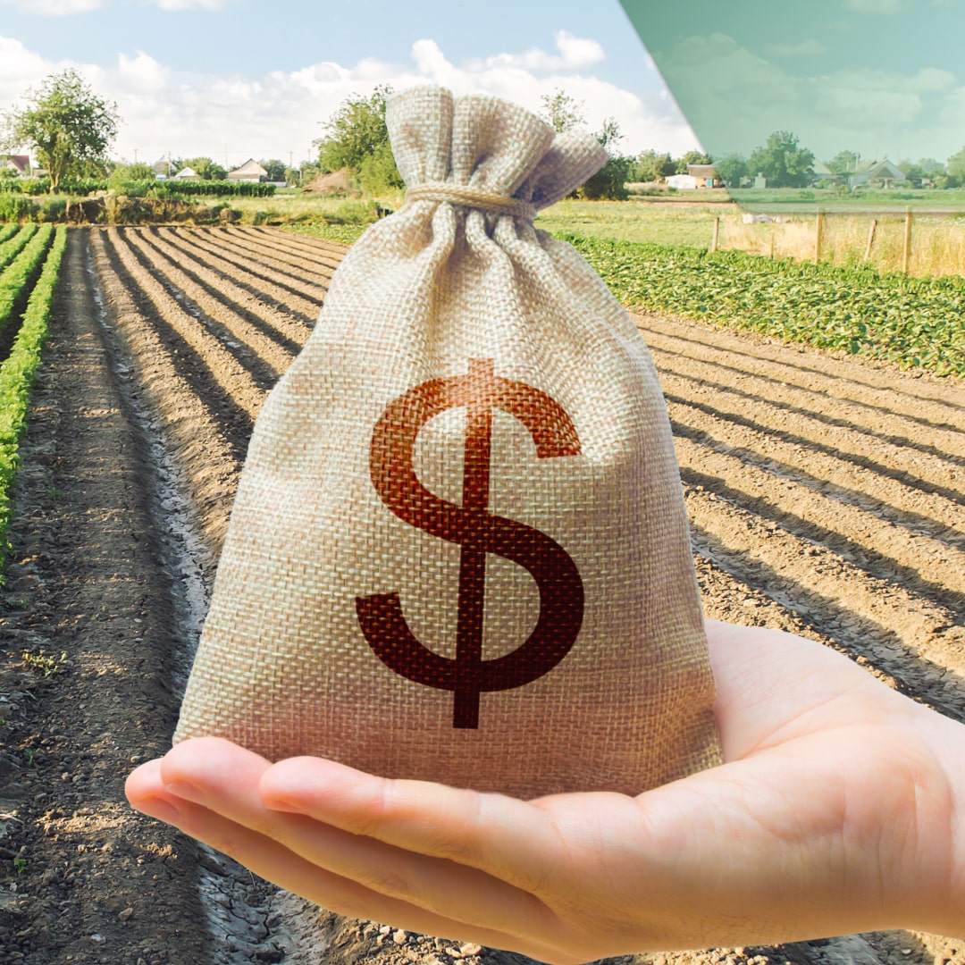 Precios altos, un problema constante, ¿para quién?