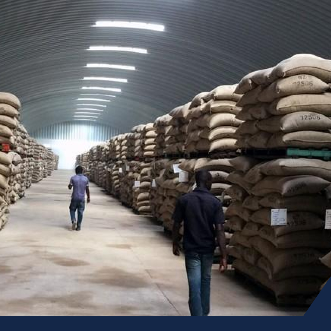 Precios bajos en granos provoca manifestaciones de productores agrícolas