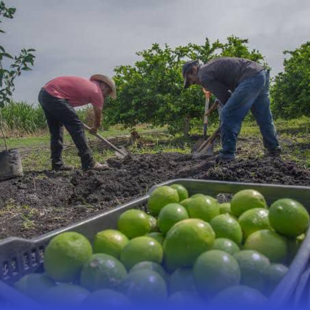 Transporte de mercancía: Un eslabón esencial en la cadena de suministro