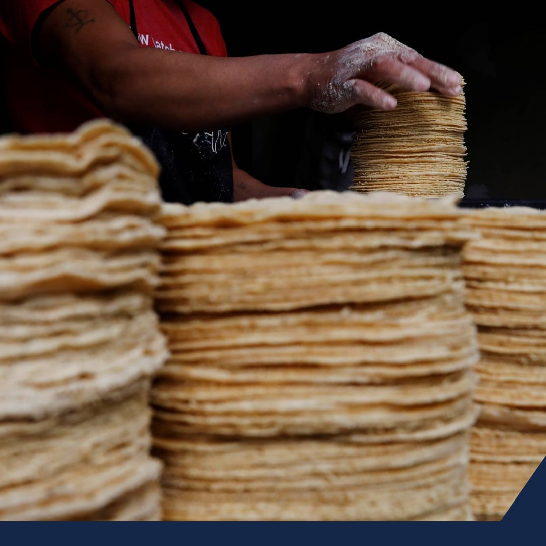 La producción de maíz en México cerrará cerca de 27.3 millones de TM, 38% menos para cubrir la demanda nacional