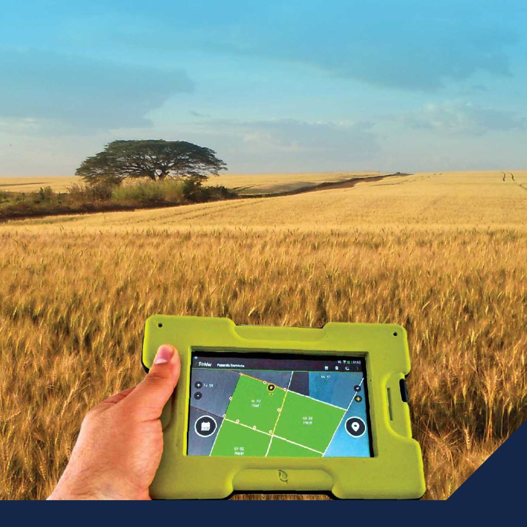 SIAP asegura la producción agrícola; monitorea 24.6 millones de hectáreas