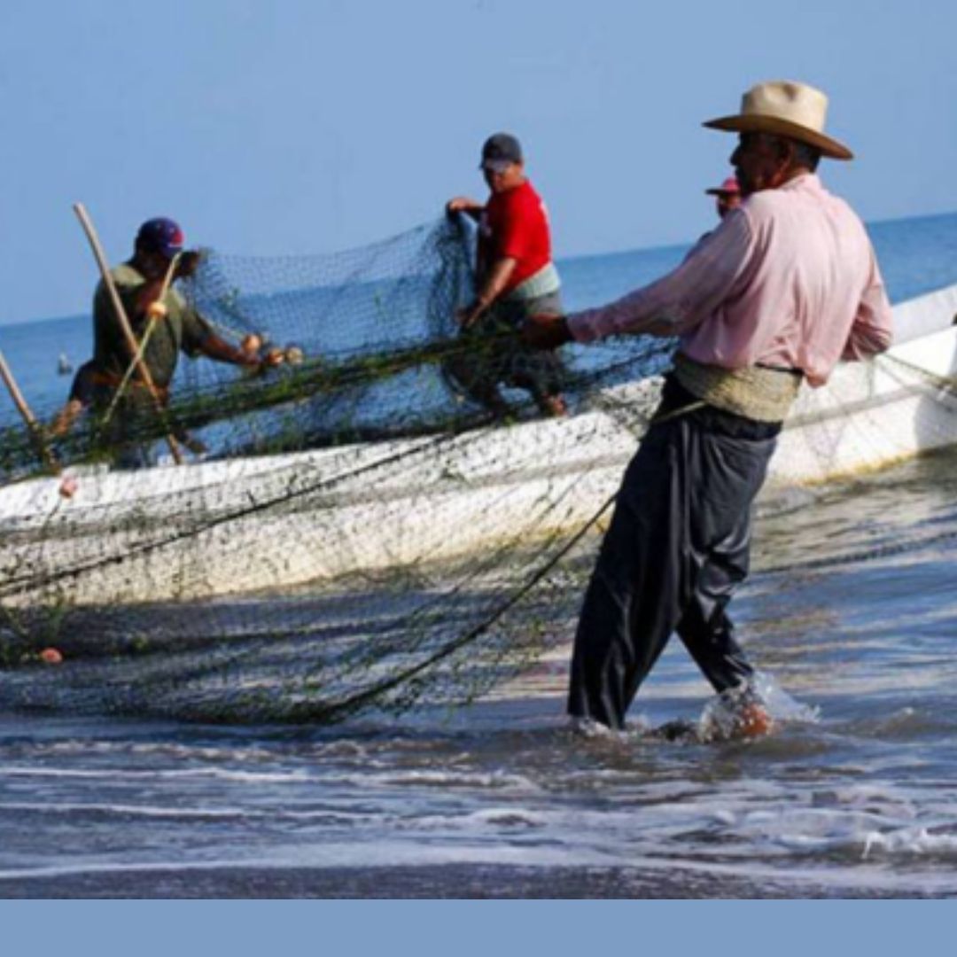 Sader da a conocer fechas para la pesca de camarón en México