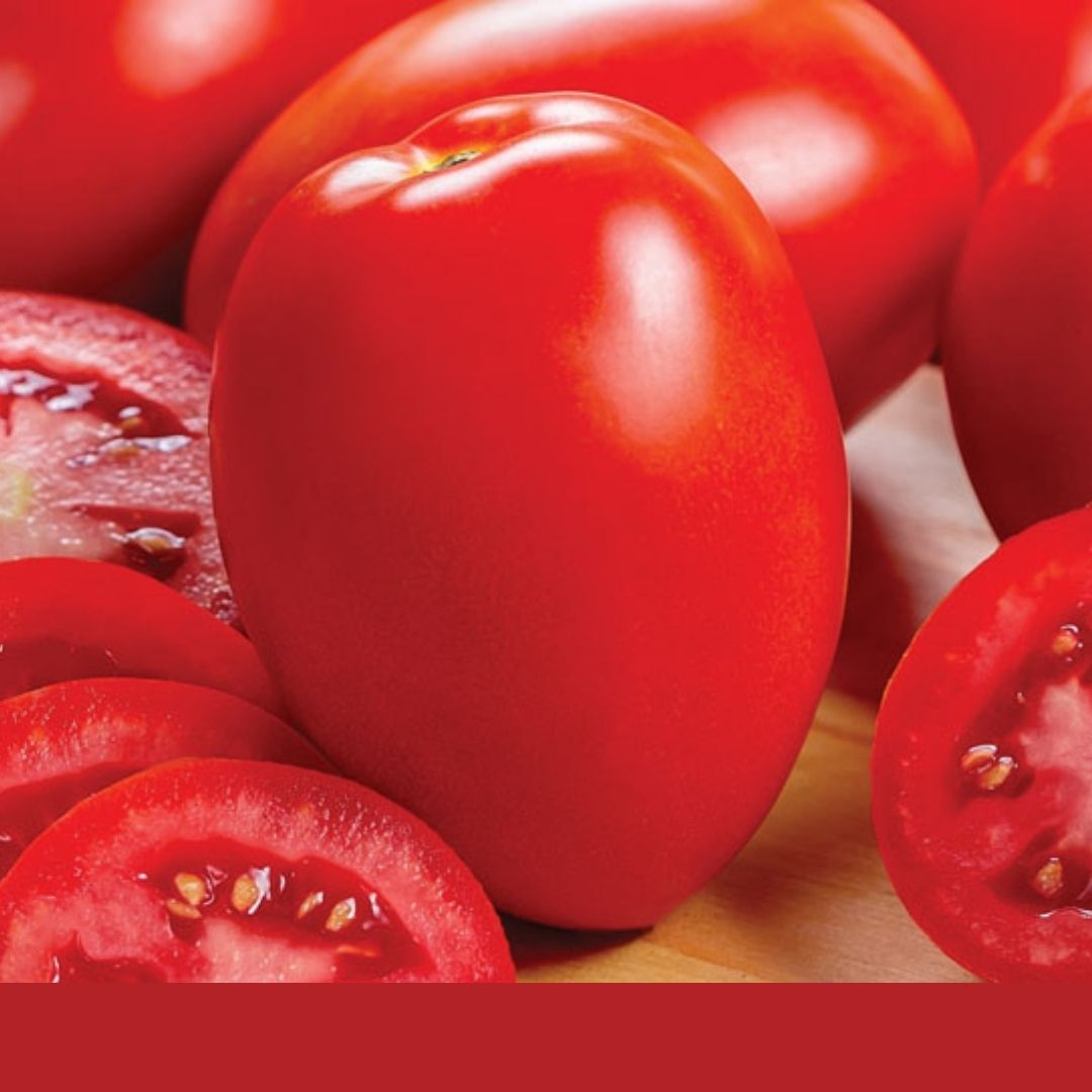 USDA: Se espera alza marginal en la producción de tomate en México