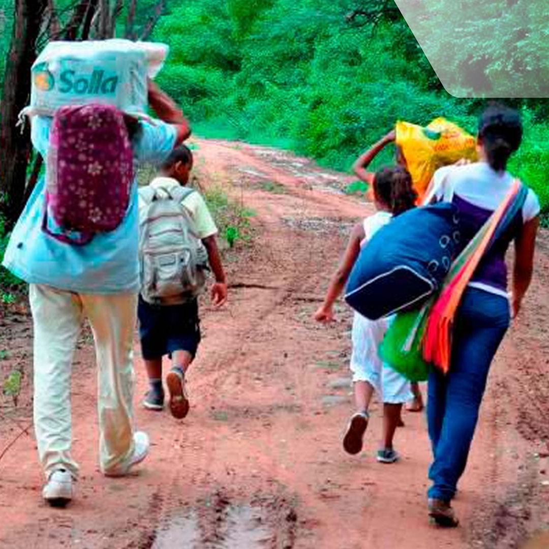 Violencia afecta a más de 13 mil agricultores y familias en México.