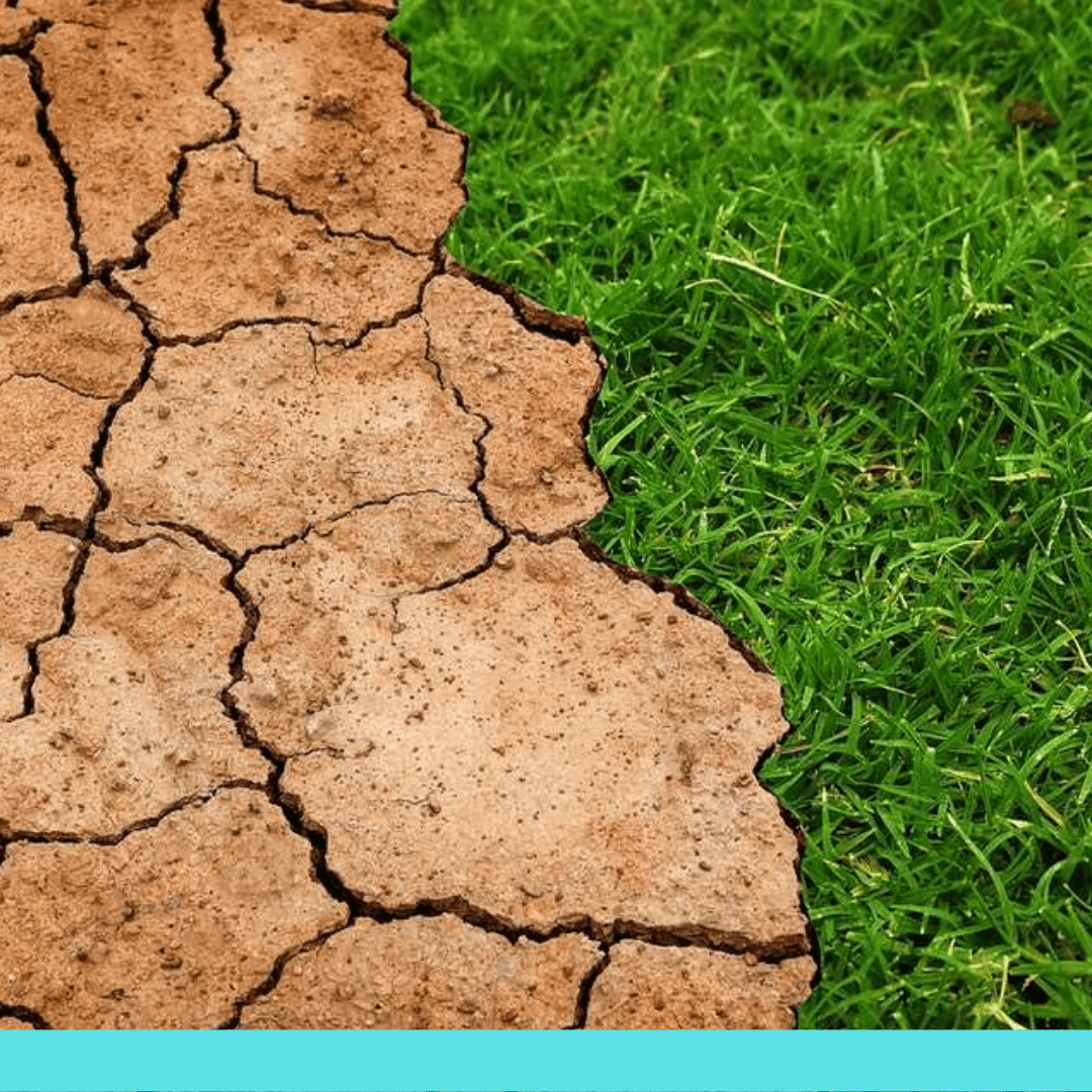 Huella hídrica en los alimentos