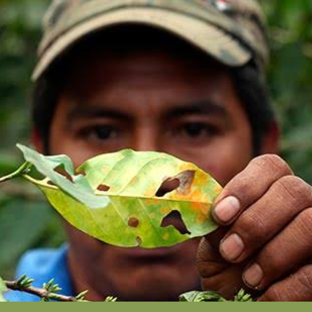 La Importancia de la Certificación en el Sector Primario ante las nuevas medidas antiinflacionarias