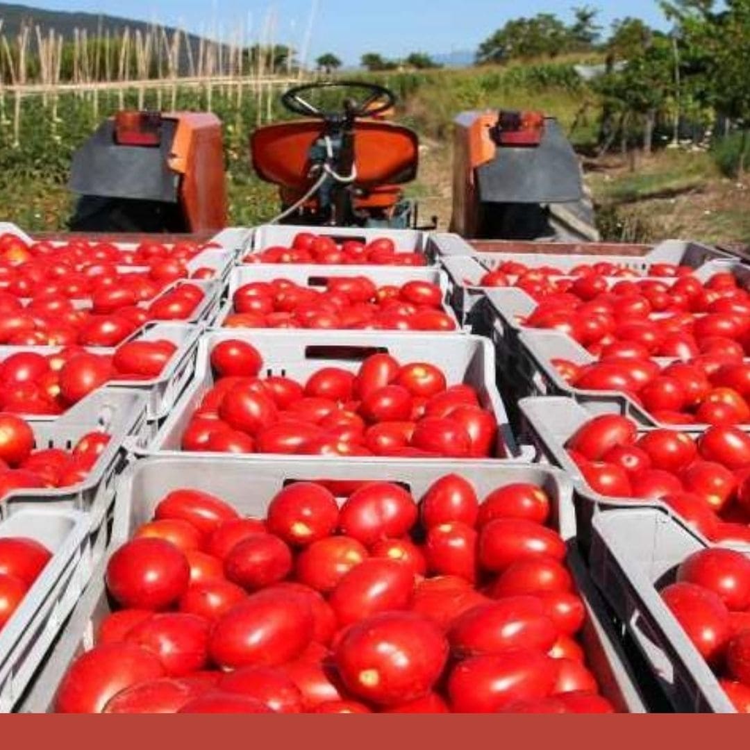 Límites máximos de precios en la Canasta Básica ¿Ayuda o perjuicio para el Pueblo?
