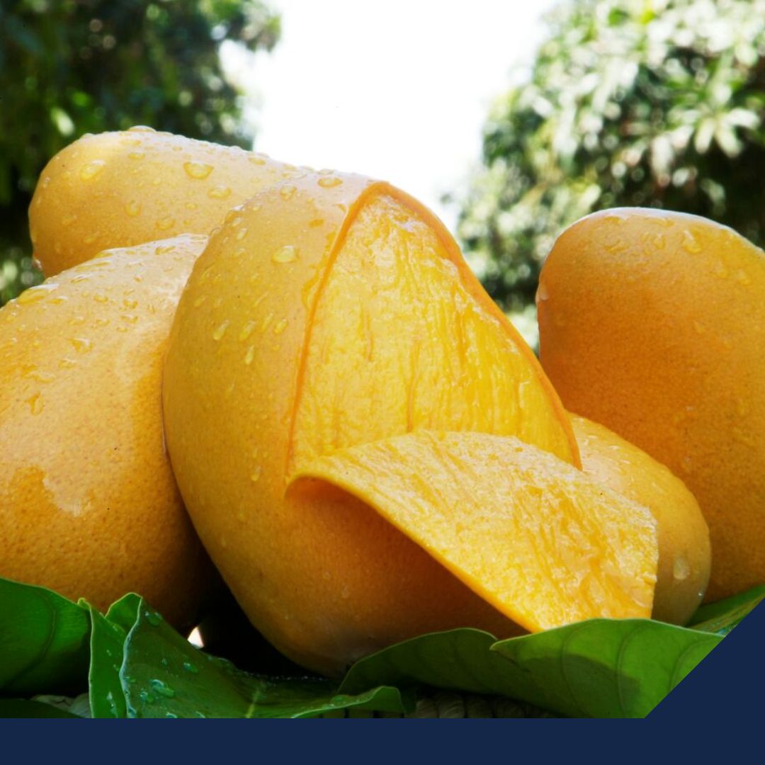 ¡MANGO! Fruta 100% Mexicana