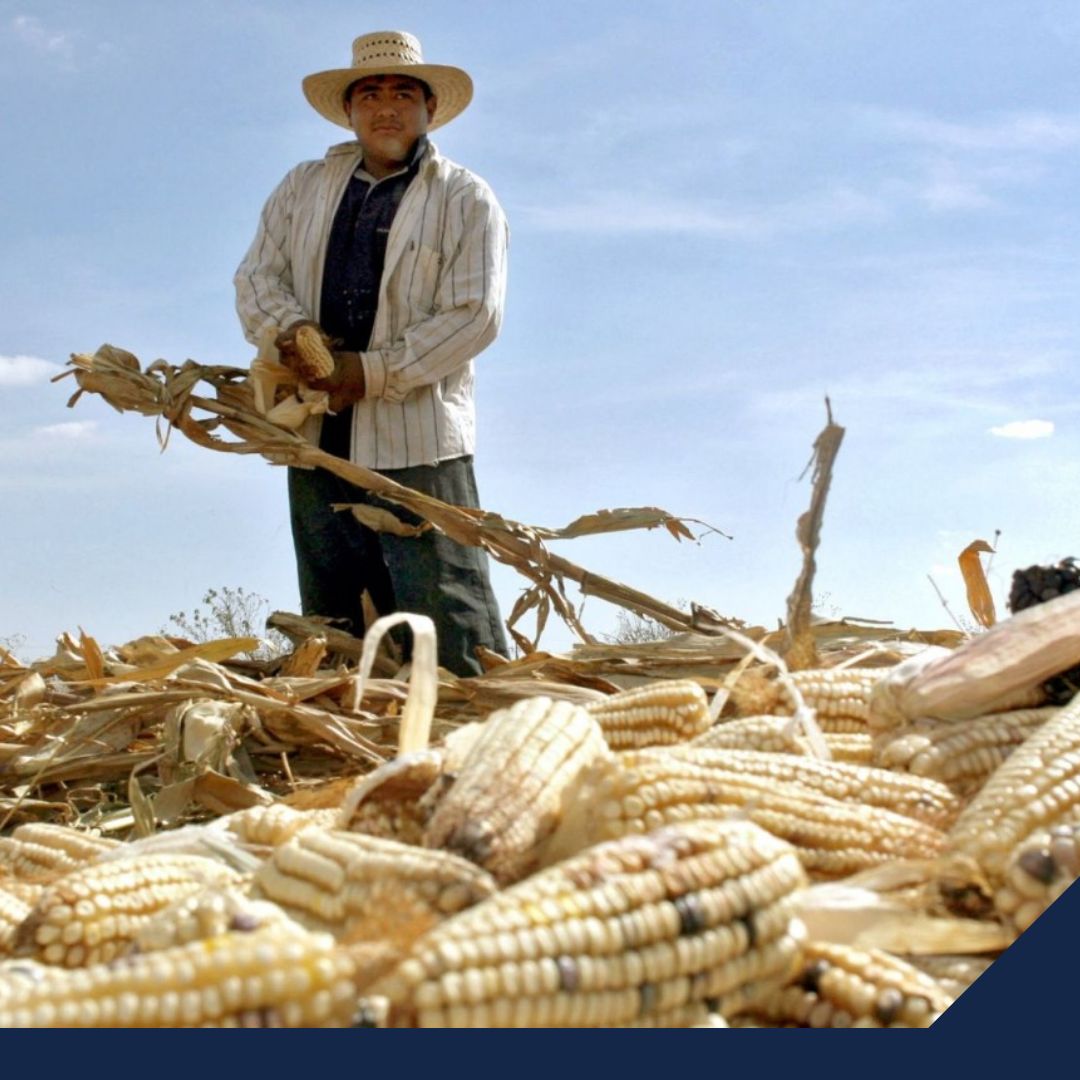 Nuevo acuerdo de apertura entre el Gobierno Federal e iniciativa privada para bajar precios