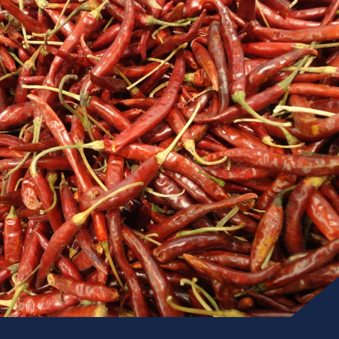 Oficializan NOM definitiva del Chile Yahualica