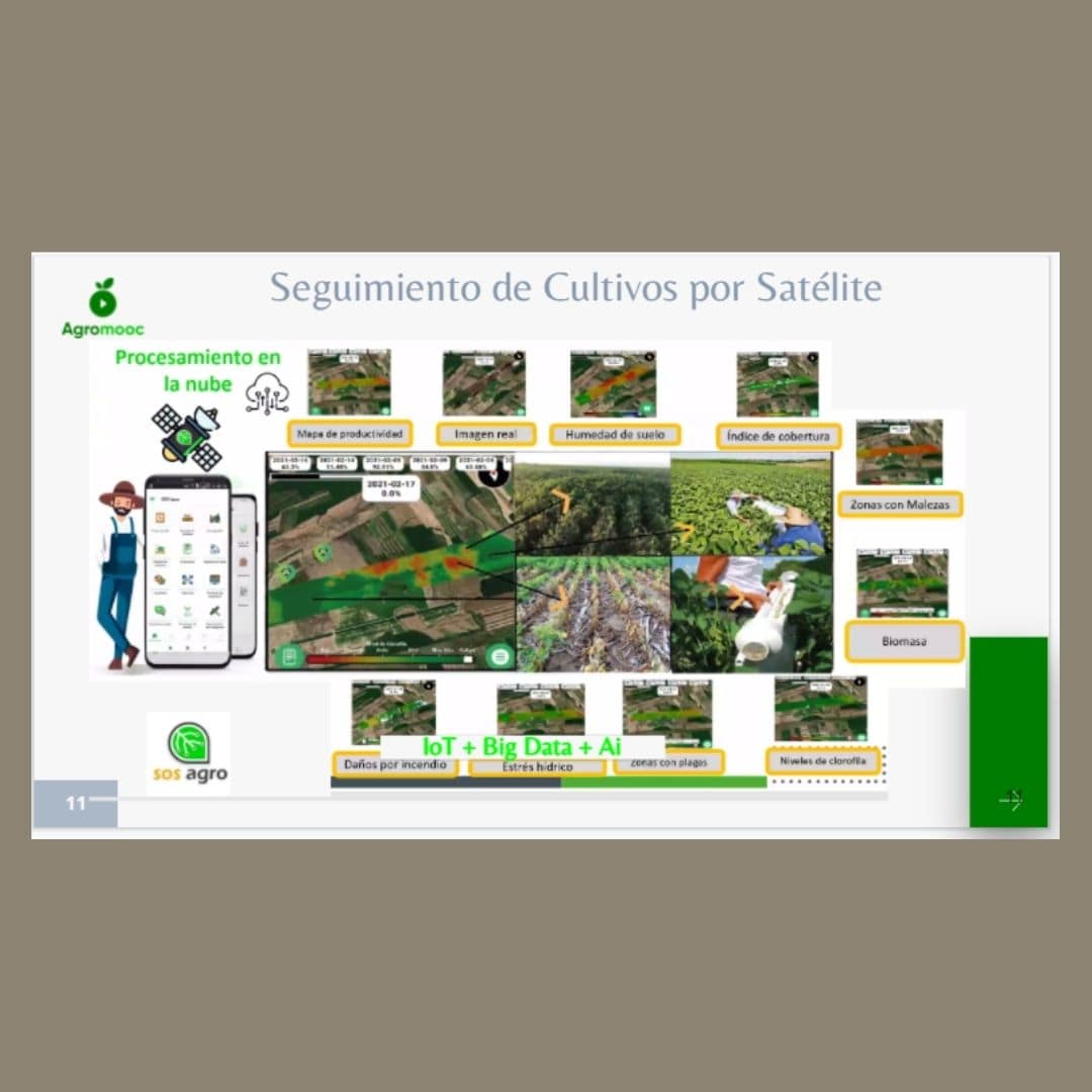 Transformación Digital, el Futuro de la Agricultura