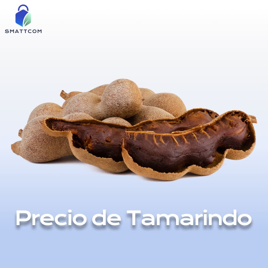 Imagen de | Smattcom