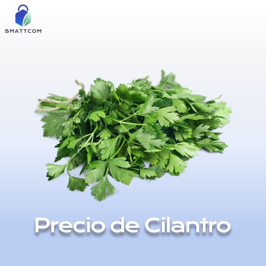 Imagen de  | Smattcom