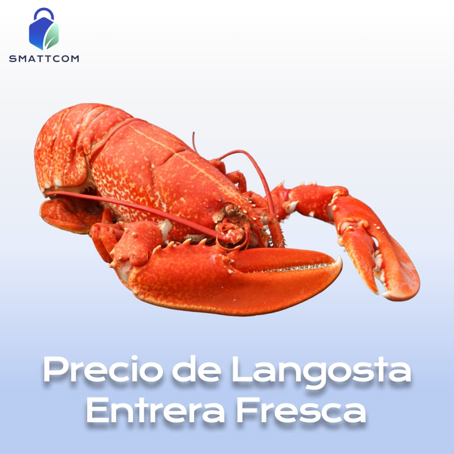 Imagen de | Smattcom