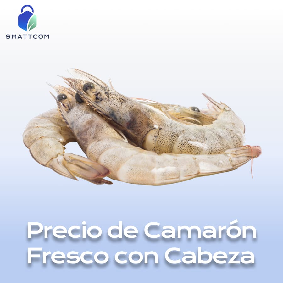 Imagen de | Smattcom