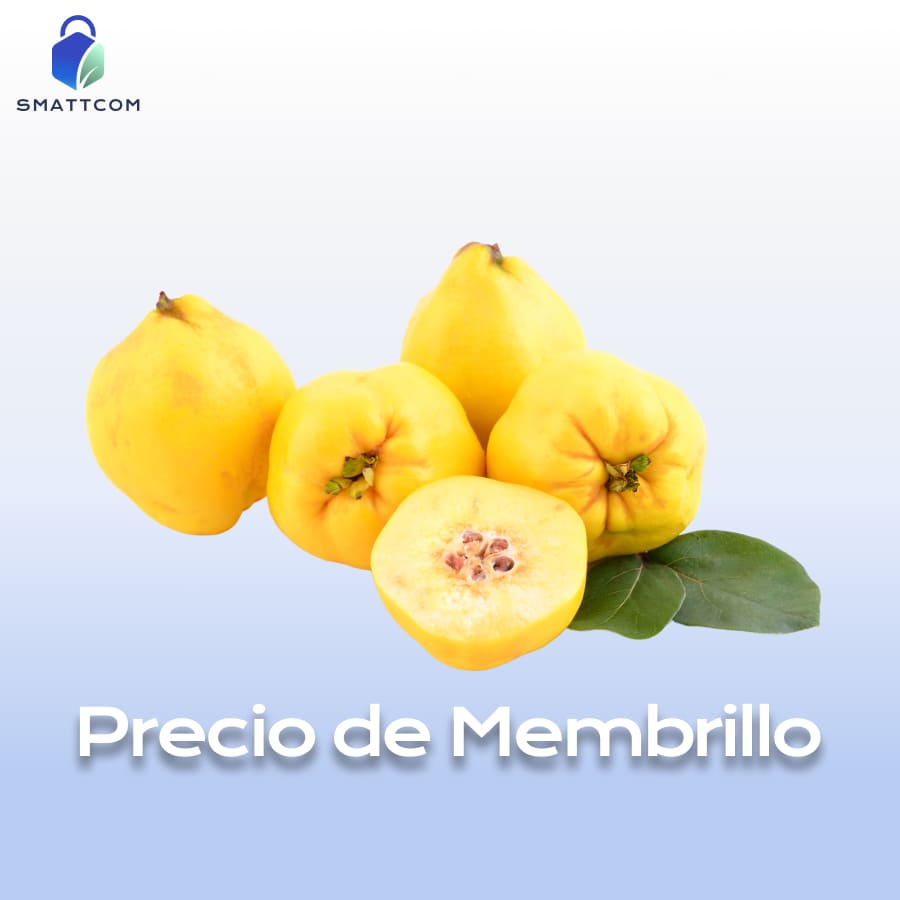 Imagen de  | Smattcom