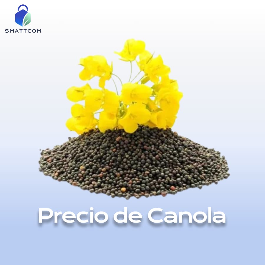 Imagen de  | Smattcom