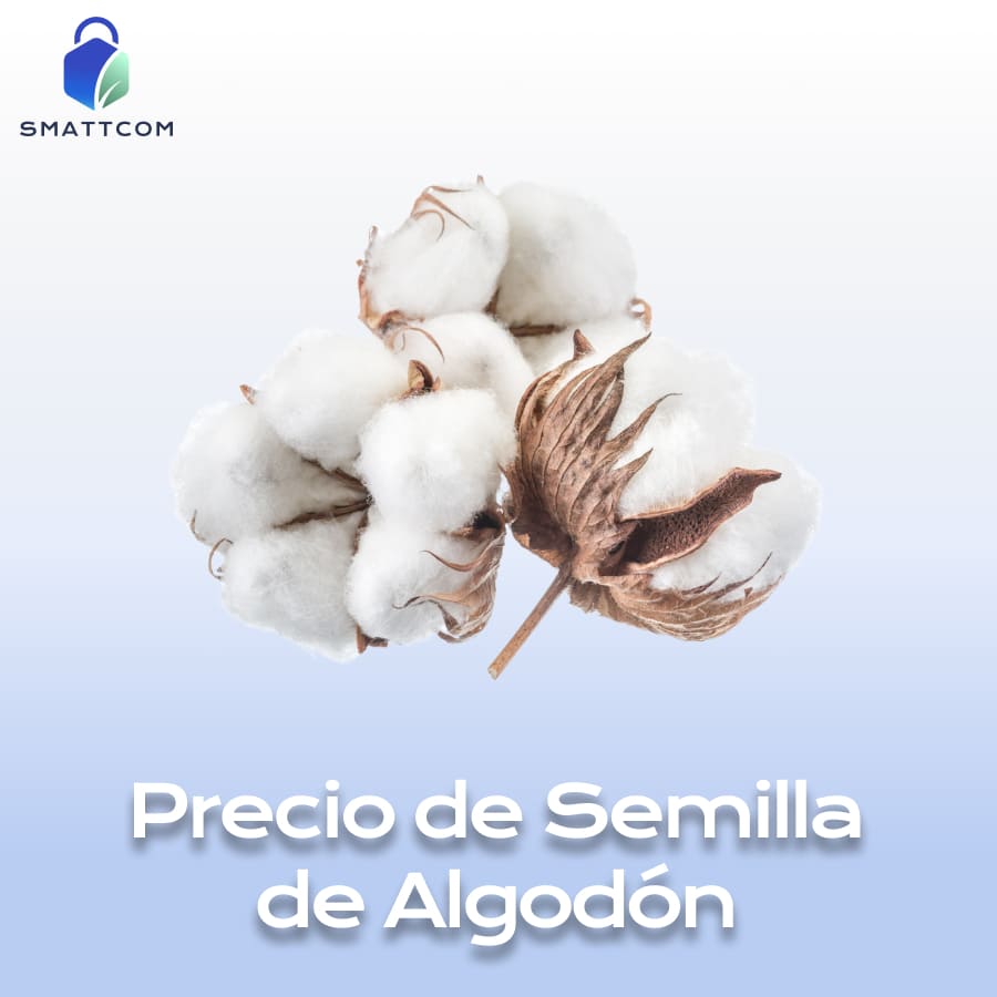 Imagen de | Smattcom