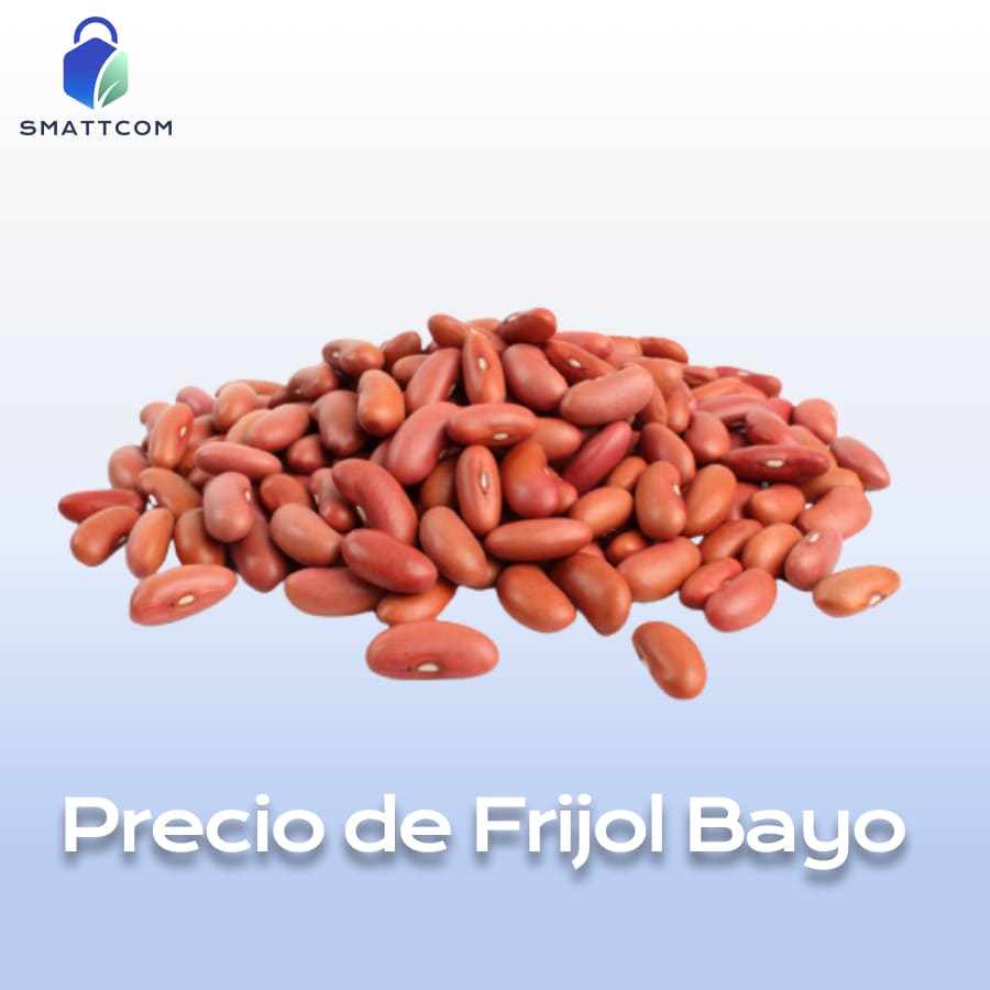 Imagen de Frijol Bayo | Smattcom