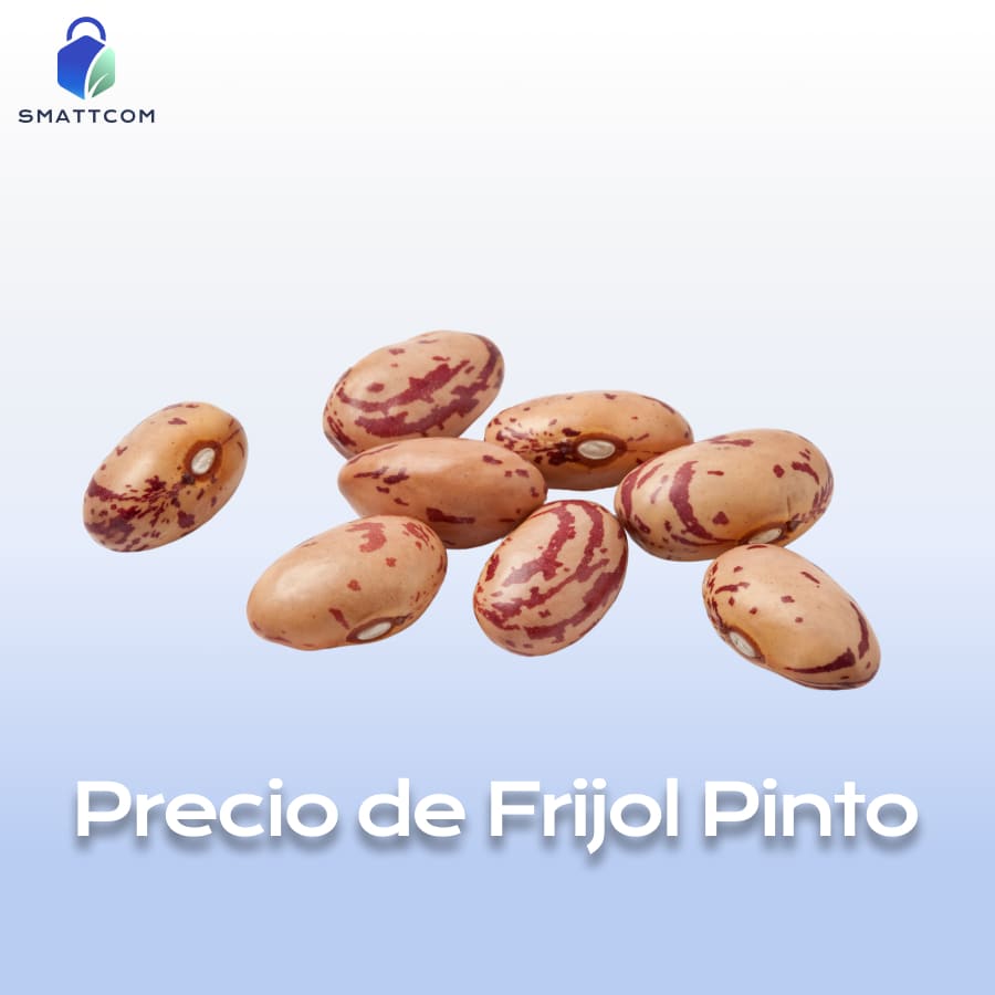 Imagen de Frijol Pinto | Smattcom