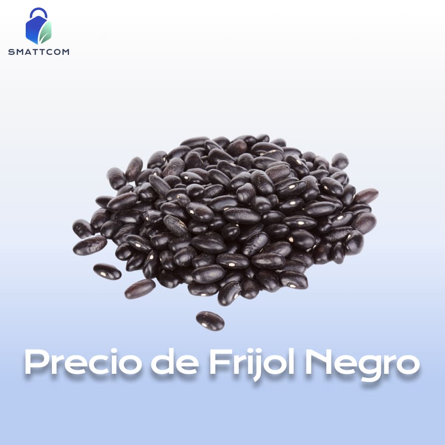 Imagen de Frijol Negro | Smattcom