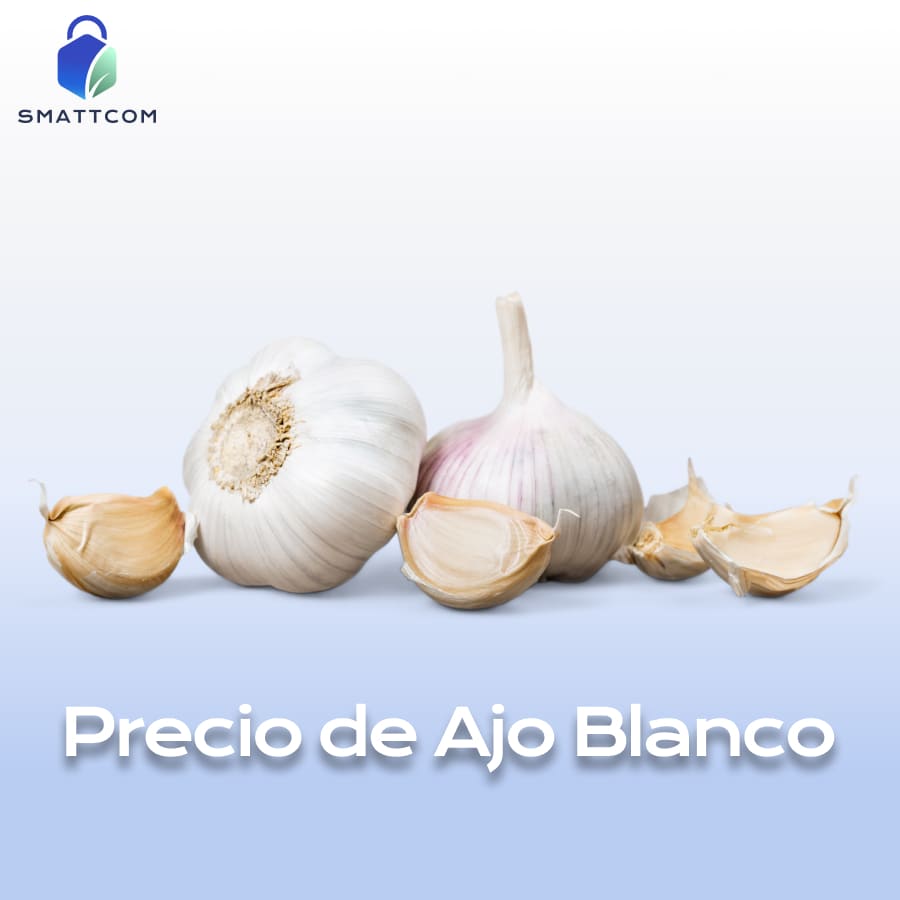 Imagen de Ajo Blanco | Smattcom