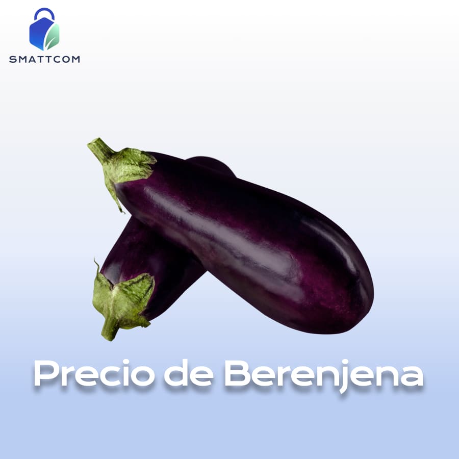 Imagen de Berenjena Negra | Smattcom