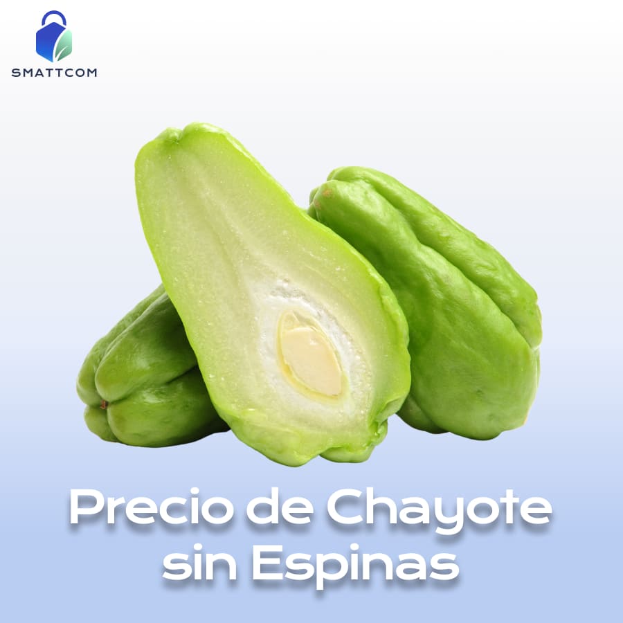 Imagen de | Smattcom