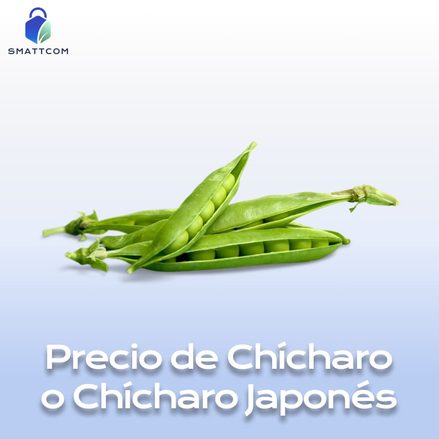 Imagen de | Smattcom
