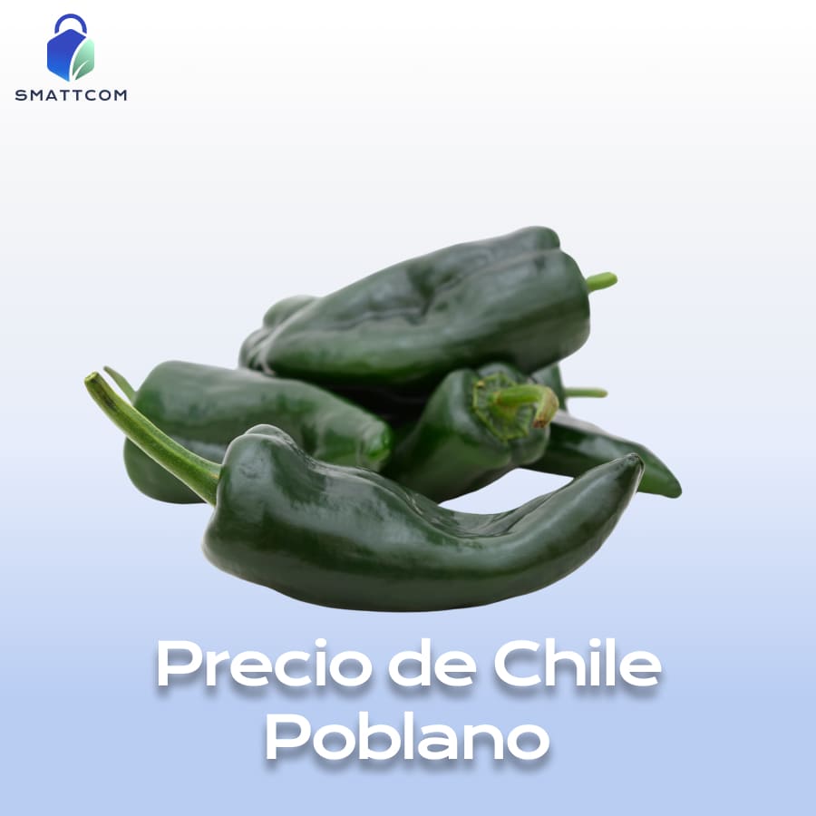 Imagen de MX Chile Poblano | Smattcom